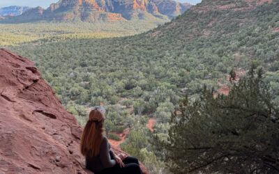 Mantra Well-being Note – Toxic People In the Law Firm Workplace